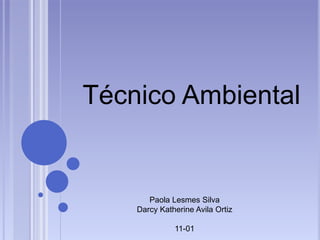 Técnico Ambiental
Paola Lesmes Silva
Darcy Katherine Avila Ortiz
11-01
 