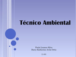 Técnico Ambiental
Paola Lesmes Silva
Darcy Katherine Avila Ortiz
11-01
 