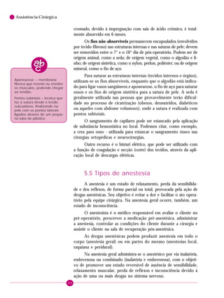44
6 Assistência Cirúrgica
cromado, devido à impregnação com sais de ácido crômico, é total-
mente absorvido em 6 meses.
Os fios não-absorvíveis permanecem encapsulados (envolvidos
por tecido fibroso) nas estruturas internas e nas suturas de pele; devem
ser removidos entre o 7° e o 10° dia de pós-operatório. Podem ser de
origem animal, como a seda; de origem vegetal, como o algodão e li-
nho; de origem sintética, como o nylon, perlon, poliéster; ou de origem
mineral, como o fio de aço.
Para suturar as estruturas internas (tecidos internos e órgãos),
utilizam-se os fios absorvíveis, enquanto que o algodão está indica-
do para ligar vasos sangüíneos e aponeurose, o fio de aço para suturar
ossos e os fios de origem sintética para a sutura de pele. A seda é
geralmente utilizada nas pessoas que provavelmente terão dificul-
dade no processo de cicatrização (obesos, desnutridos, diabéticos
ou aqueles com abdome volumoso), onde a sutura é realizada com
pontos subtotais.
O sangramento de capilares pode ser estancado pela aplicação
de substância hemostática no local. Podemos citar, como exemplo,
a cera para osso - utilizada para estancar o sangramento ósseo nas
cirurgias ortopédicas e neurocirurgias.
Outro recurso é o bisturi elétrico, que pode ser utilizado com
a função de coagulação e secção (corte) dos tecidos, através da apli-
cação local de descargas elétricas.
5.5 Tipos de anestesia
A anestesia é um estado de relaxamento, perda da sensibilida-
de e dos reflexos, de forma parcial ou total, provocada pela ação de
drogas anestésicas. Seu objetivo é evitar a dor e facilitar o ato opera-
tório pela equipe cirúrgica. Na anestesia geral ocorre, também, um
estado de inconsciência.
O anestesista é o médico responsável em avaliar o cliente no
pré-operatório, prescrever a medicação pré-anestésica, administrar
a anestesia, controlar as condições do cliente durante a cirurgia e
assistir o cliente na sala de recuperação pós-anestésica.
As drogas anestésicas podem produzir anestesia em todo o
corpo (anestesia geral) ou em partes do mesmo (anestesias local,
raquiana e peridural).
Na anestesia geral administra-se o anestésico por via inalatória,
endovenosa ou combinado (inalatória e endovenosa), com o objeti-
vo de promover um estado reversível de ausência de sensibilidade,
relaxamento muscular, perda de reflexos e inconsciência devido à
ação de uma ou mais drogas no sistema nervoso.
Aponeurose – membrana
fibrosa que reveste ou envolve
os músculos, podendo chegar
ao tendão.
Pontos subtotais – técnica que
faz a sutura desde o tecido
subcutâneo, finalizando na
pele com os pontos laterais
ligados através de um peque-
no tubo de plástico.
 