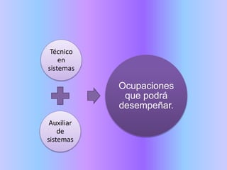 Técnico
en
sistemas
Auxiliar
de
sistemas
Ocupaciones
que podrá
desempeñar.
 