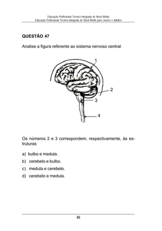 40
Educação Profissional Técnica Integrada de Nível Médio
Educação Profissional Técnica Integrada de Nível Médio para Jovens e Adultos
QUESTÃO 47
Analise a figura referente ao sistema nervoso central.
Os números 2 e 3 correspondem, respectivamente, às es-
truturas
a) bulbo e medula.
b) cerebelo e bulbo.
c) medula e cerebelo.
d) cerebelo e medula.
2
3
4
1
 