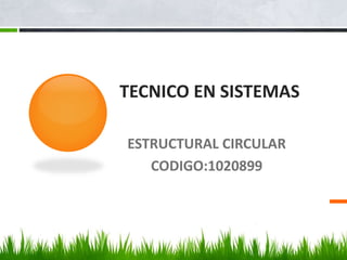 TECNICO EN SISTEMAS
ESTRUCTURAL CIRCULAR
CODIGO:1020899
 