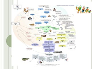 Tècniques d'estudi