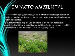 IMPACTO AMBIENTAL 
El desequilibrio ecológico que se genera al introducir labores agrícolas en un 
ambiente, produce tal desajuste, que da lugar a que se desarrollen plagas que 
atacan las cosechas. 
Para poder cambiar las platas, se desarrolló la producción de biosidas ( 
plaguicida, herbicidas, insecticidas, bactericidas), Sustancias capaces también 
de acabar con la vida de cualquier especie vegetal y animal 
 