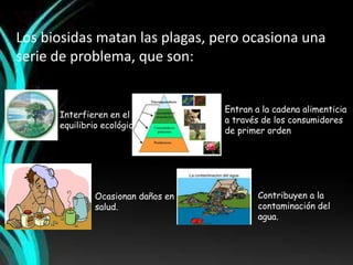 Los biosidas matan las plagas, pero ocasiona una 
serie de problema, que son: 
Interfieren en el 
equilibrio ecológico. 
Entran a la cadena alimenticia 
a través de los consumidores 
de primer orden 
Ocasionan daños en la 
salud. 
Contribuyen a la 
contaminación del 
agua. 
 