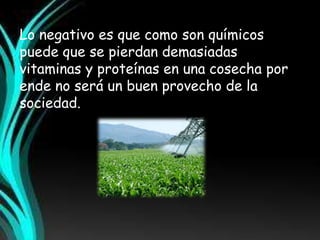 Lo negativo es que como son químicos 
puede que se pierdan demasiadas 
vitaminas y proteínas en una cosecha por 
ende no será un buen provecho de la 
sociedad. 
