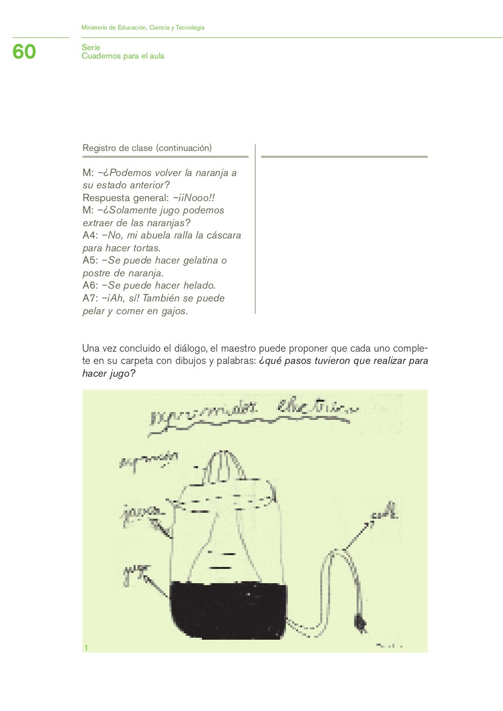 Nap primer ciclo primaria