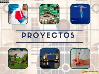 PROYECTOS
 