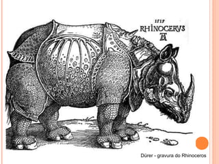 Dürer - gravura do Rhinoceros
 