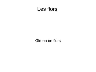 Les flors Girona en flors 