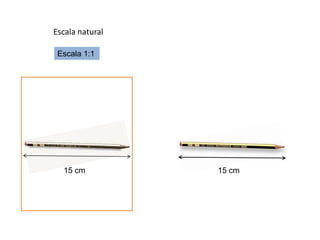 Escala natural

 Escala 1:1




  15 cm          15 cm
 