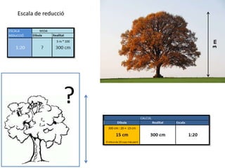 Escala de reducció




                     3m
                 ?
 