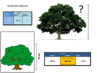 ?
Escala de reducció




                     35 cm
 