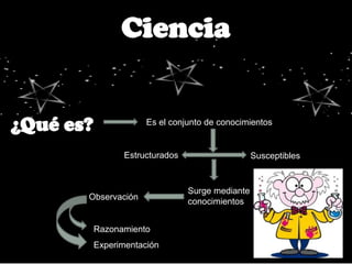 Es el conjunto de conocimientos


        Estructurados                    Susceptibles


                        Surge mediante
Observación
                        conocimientos


 Razonamiento
 Experimentación
 