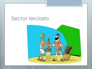 Sector terciario
 