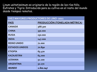 Linum usitatissimum es originario de la región de los ríos Nilo,
Éufrates y Tigris. Introducido para su cultivo en el resto del mundo
desde tiempos remotos.
DIEZ MAYORES PRODUCTORES DE LINO -2011
PAÍS

PRODUCCIÓN (TONELADA MÉTRICA)

CANADÁ

368.300

CHINA

350.000

RUSIA

230.000

INDIA

147.000

REINO UNIDO

71.000

ESTADOS UNIDOS

70.890

ETIOPÍA

65.420

KAZAJISTÁN

64.000

UCRANIA

51.100

ARGENTINA

32.170

MUNDO

1.602.047

 