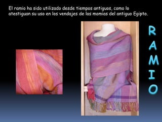 El ramio ha sido utilizado desde tiempos antiguos, como lo
atestiguan su uso en los vendajes de las momias del antiguo Egipto.

 