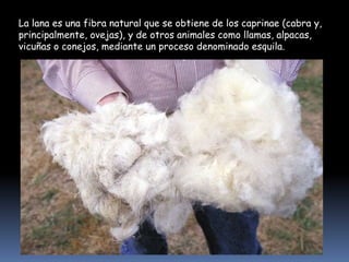 La lana es una fibra natural que se obtiene de los caprinae (cabra y,
principalmente, ovejas), y de otros animales como llamas, alpacas,
vicuñas o conejos, mediante un proceso denominado esquila.

 