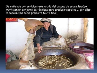 Se entiende por sericicultura la cría del gusano de seda (Bombyx
mori) con un conjunto de técnicas para producir capullos y, con ellos,
la seda misma como producto textil final.

 