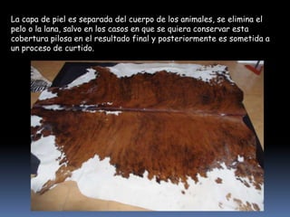 La capa de piel es separada del cuerpo de los animales, se elimina el
pelo o la lana, salvo en los casos en que se quiera conservar esta
cobertura pilosa en el resultado final y posteriormente es sometida a
un proceso de curtido.

 