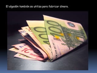 El algodón también se utiliza para fabricar dinero.

 