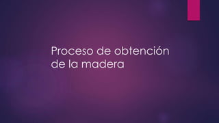 Proceso de obtención 
de la madera 
 