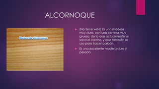 ALCORNOQUE 
 (No tiene veta) Es una madera 
muy dura, con una corteza muy 
gruesa, de la que actualmente se 
saca el corcho, y que también se 
usa para hacer carbón. 
 Es una excelente madera dura y 
pesada. 
 
