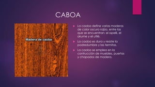CABOA 
 La caoba define varias maderas 
de color oscuro rojizo, entre las 
que se encuentran: el sspelli, el 
okume y el utilé. 
 La caoba es dura y resiste la 
podredumbre y las termitas. 
 La caoba se emplea en la 
contrucción de muebles, puertas 
y chapados de madera. 
 