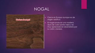 NOGAL 
 Crece en Europa aunque es de 
origen asiático. 
 El nogal produce una madera 
dura de color pardo rojizo y es 
muy apreciada en ebanistería por 
su color y dureza. 
 