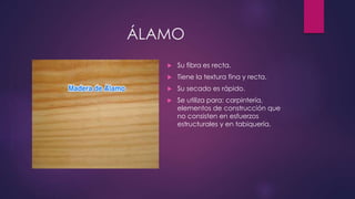 ÁLAMO 
 Su fibra es recta. 
 Tiene la textura fina y recta. 
 Su secado es rápido. 
 Se utiliza para: carpintería, 
elementos de construcción que 
no consisten en esfuerzos 
estructurales y en tabiquería. 
 