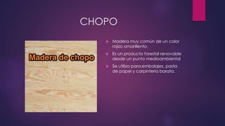 CHOPO 
 Madera muy común de un color 
rojizo amarillento. 
 Es un producto forestal renovable 
desde un punto medioambiental 
 Se utiliza para:embalajes, pasta 
de papel y carpintería barata. 
 