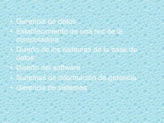 Gerencia de datos  Establecimiento de una red de la computadora  Diseño de los sistemas de la base de datos  Diseño del software  Sistemas de información de gerencia  Gerencia de sistemas  