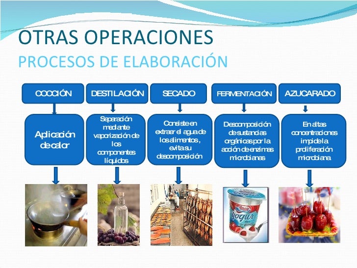 TECNOLOGÍA DE LOS ALIMENTOS