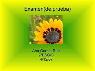 Examen(de prueba) Ana García Ruiz 2ºESO-C 4/12/07 