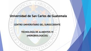 Universidad de San Carlos de Guatemala
CENTRO UNIVERSITARIO DEL SUROCCIDENTE
TECNOLOGÍA DE ALIMENTOS VI
(HIDROBIOLOGICOS)
 