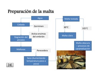 Preparación de la malta
                          Agua          Malta tostada

     Cebada
                      Germinen          80°C              105°C

                    Activa enzimas
                     del embrión      Malta clara
   Degración del
     almidón
                                                    Malta obscura
                                                     – procesos de
     Maltosas                                       caramelización
                         Perecedera


                 Seca (Aumentando
                temperatura poco a
                        poco)
 