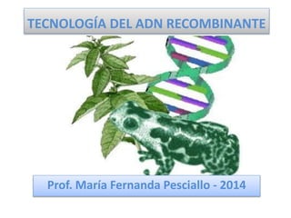TECNOLOGÍA DEL ADN RECOMBINANTE 
Prof. María Fernanda Pesciallo - 2014 
 