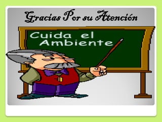 Gracias Por su Atención
 