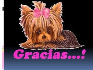 Tecnología educativa