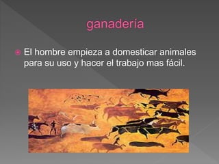  El hombre empieza a domesticar animales
para su uso y hacer el trabajo mas fácil.
 