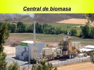 Central de biomasa
 