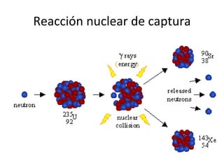Reacción nuclear de captura 