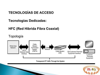 TECNOLOGÍAS DE ACCESO  Tecnologías Dedicadas: HFC (Red Hibrida Fibra Coaxial) Topología 