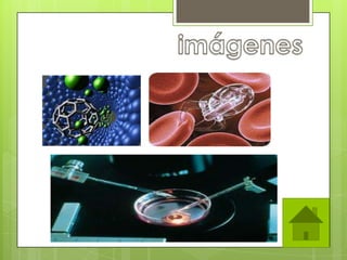 Tecnologías de punta