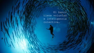 Coordinaci
ón El banco
tiene voluntad
e inteligencia
colectiva…
 