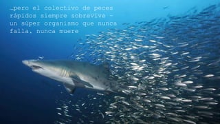 …pero el colectivo de peces rápidos
siempre sobrevive – un súper organismo
que nunca falla, nunca muere
 