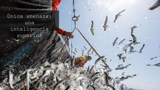 Única amenaza: una
inteligencia superior
 