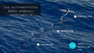 VARIACIÓN
SELECCIÓN
ADAPTACIÓN
Los microservicios deben
adquirir inteligencia
Data
Intelligence
 