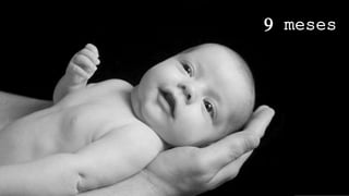 9 meses
 