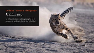 Agilismo
La utilización de metodologías ágiles es el
corazón de un desarrollo de alta velocidad
Luchar contra dragones
 